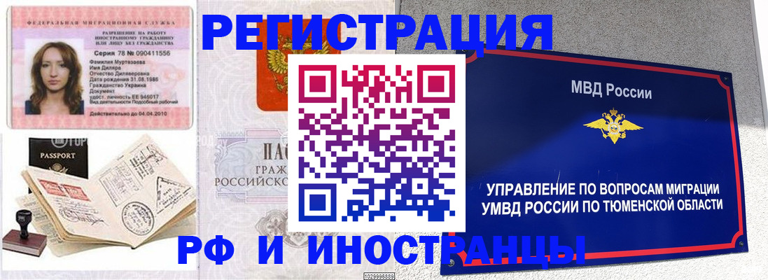 где прописаться в Дятьково